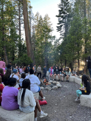 A group of children sitting around a forest campfire site surrounded by trees